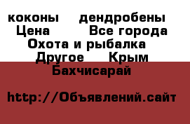 коконы    дендробены › Цена ­ 25 - Все города Охота и рыбалка » Другое   . Крым,Бахчисарай